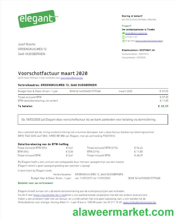 BELGIUM ELEGANT utility bill Word and PDF template